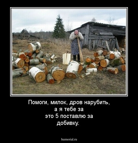 Помоги, милок, дров нарубить, а я тебе за это 5 поставлю за добивку.