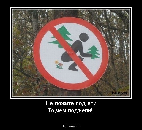Не ложите под ели
То,чем подъели! 