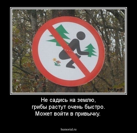 Не садись на землю, грибы растут очень быстро. Может войти в привычку.