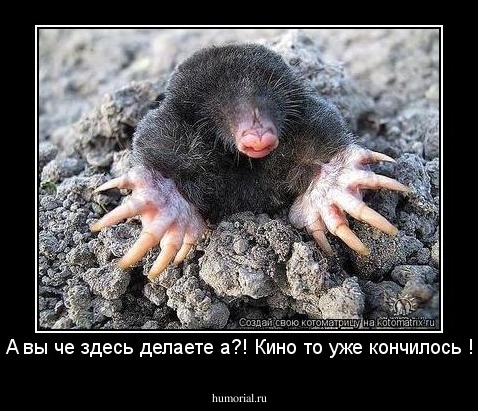 А вы че здесь делаете а?! Кино то уже кончилось !