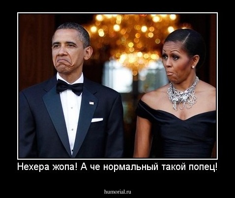 Нехера жопа! А че нормальный такой попец!