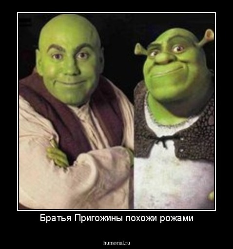 Братья Пригожины похожи рожами