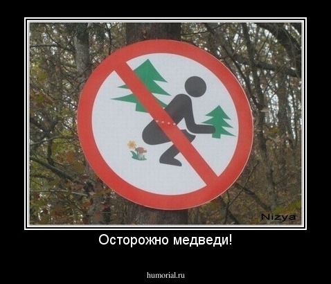 Осторожно медведи!