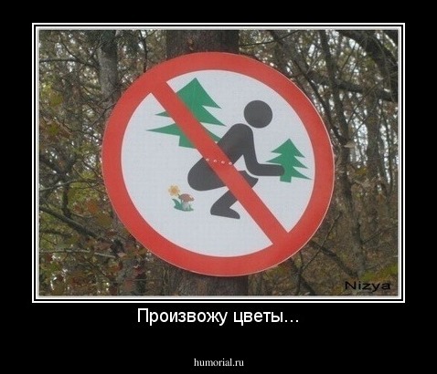 Произвожу цветы...