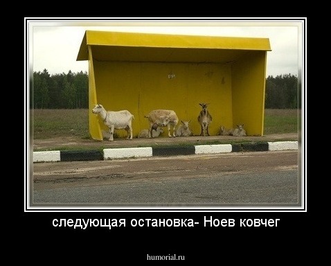 следующая остановка- Ноев ковчег