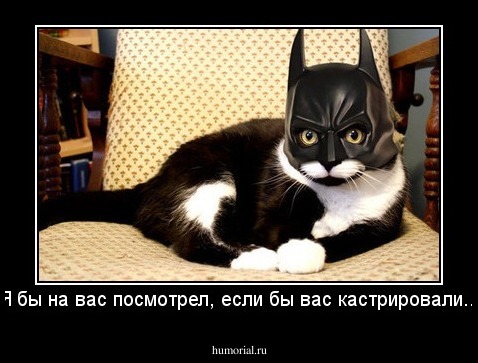 Я бы на вас посмотрел, если бы вас кастрировали...