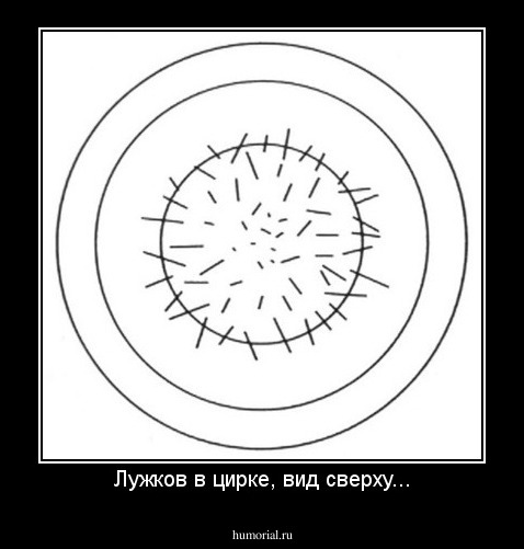 Лужков в цирке, вид сверху...