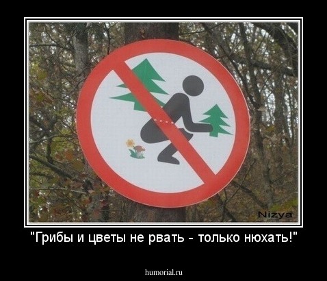 "Грибы и цветы не рвать - только нюхать!"