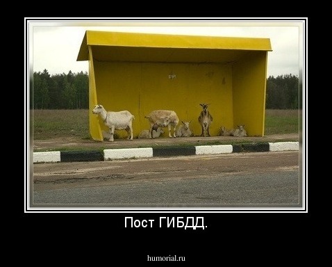 Пост ГИБДД.