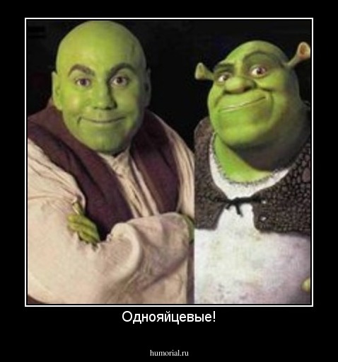 Однояйцевые!