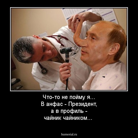 Что-то не пойму я... В анфас - Президент, а в профиль - чайник чайником...
