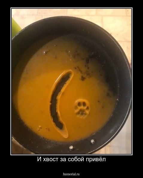 И хвост за собой привёл