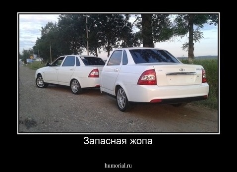 Запасная жопа