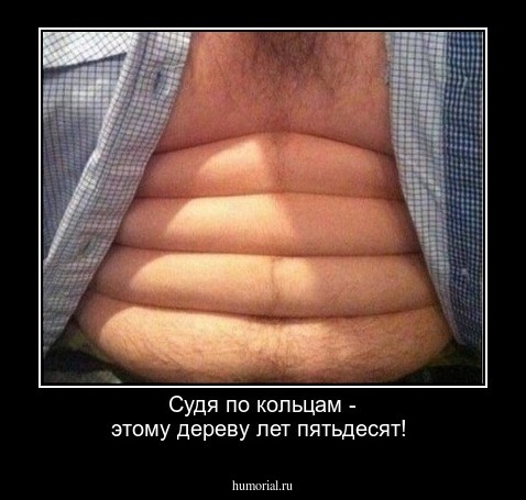 Судя по кольцам - этому дереву лет пятьдесят!
