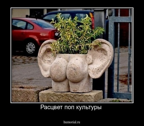 Расцвет поп культуры 