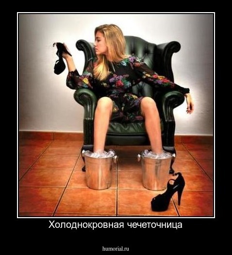 Холоднокровная чечеточница