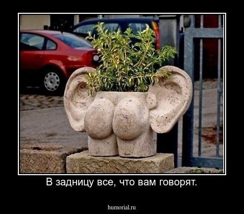 В задницу все, что вам говорят.
