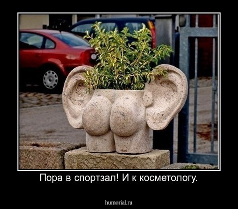 Пора в спортзал! И к косметологу.