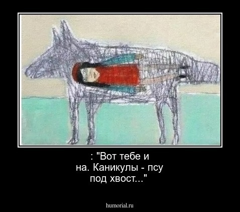 : "Вот тебе и на. Каникулы - псу под хвост..."
