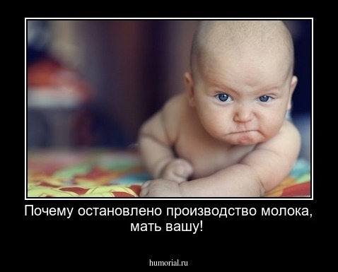Почему остановлено производство молока, мать вашу!