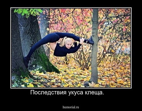 Последствия укуса клеща.    