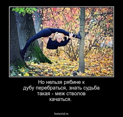 Но нельзя рябине к дубу перебраться, знать судьба такая - меж стволов качаться.