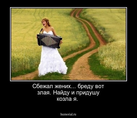 Сбежал жених... бреду вот злая. Найду и придушу козла я.