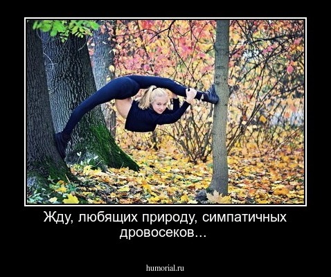 Жду, любящих природу, симпатичных  дровосеков...
