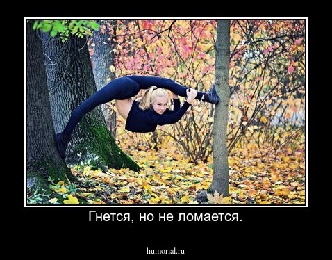 Гнется, но не ломается.