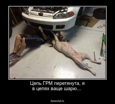 Цепь ГРМ перетянута, я в цепях ваще шарю...