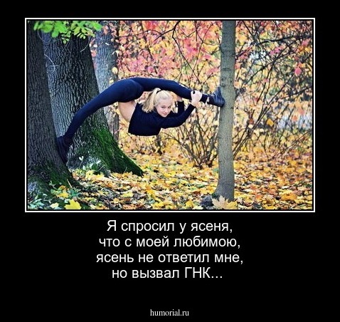 Я спросил у ясеня, что с моей любимою, ясень не ответил мне, но вызвал ГНК...