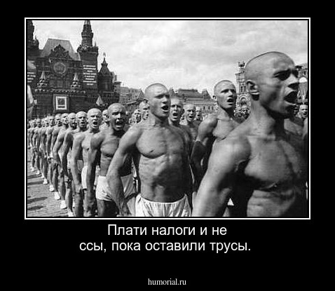 Плати налоги и не ссы, пока оставили трусы.