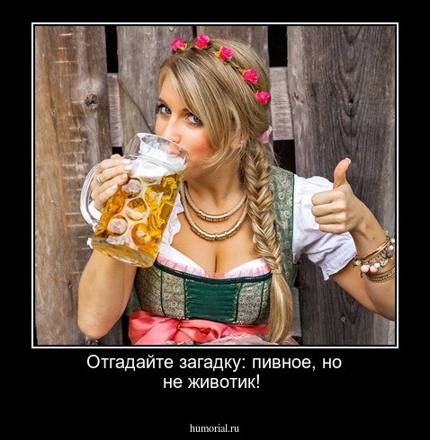 Отгадайте загадку: пивное, но не животик!