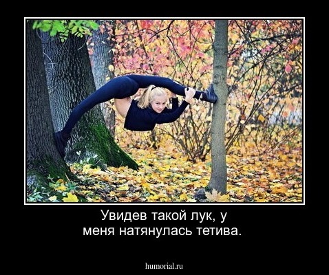 Увидев такой лук, у меня натянулась тетива.