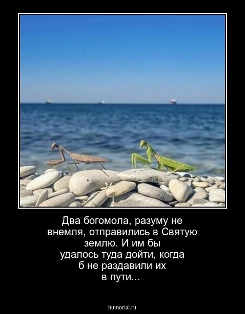 Два богомола, разуму не внемля, отправились в Святую землю. И им бы удалось туда дойти, когда б не раздавили их в пути...