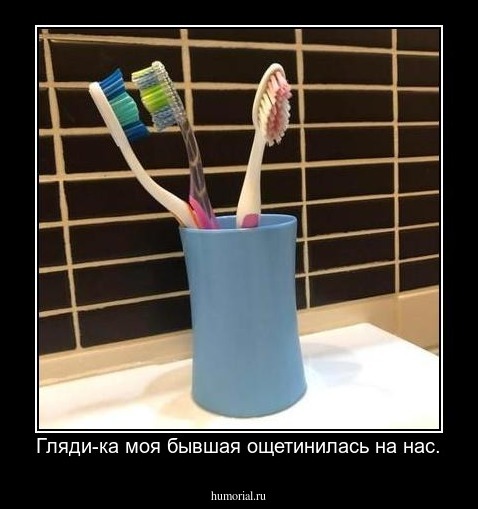 Гляди-ка моя бывшая ощетинилась на нас.