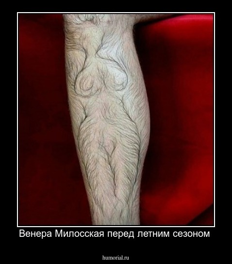 Венера Милосская перед летним сезоном 