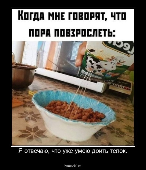 Я отвечаю, что уже умею доить телок.