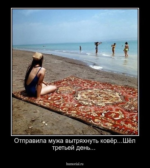 Отправила мужа  вытряхнуть ковёр...Шёл третьей день...