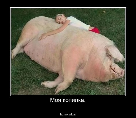 Моя копилка.