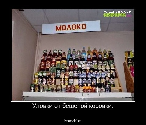Уловки от бешеной коровки.