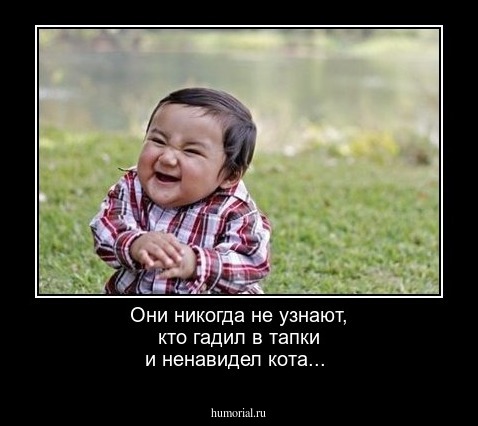 Они никогда не узнают, кто гадил в тапки и ненавидел кота...