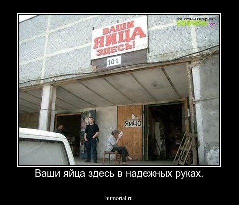 Ваши яйца здесь в надежных руках.