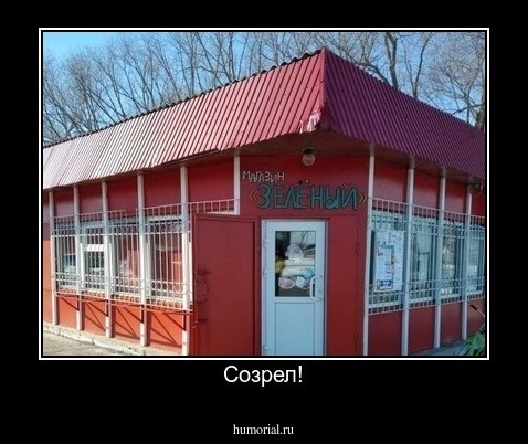 Созрел!