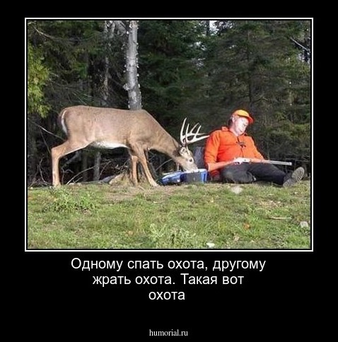 Одному  спать охота, другому жрать охота. Такая  вот охота