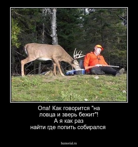 Опа! Как говорится "на ловца и зверь бежит"!  А я  как раз  найти где попить собирался 