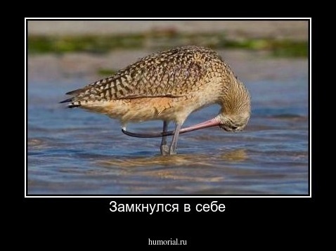 Замкнулся в себе