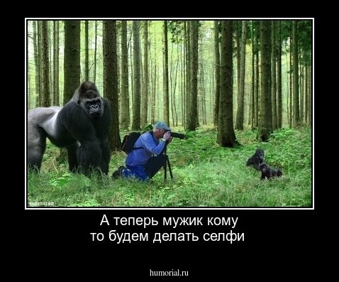 А теперь мужик   кому то будем делать  селфи