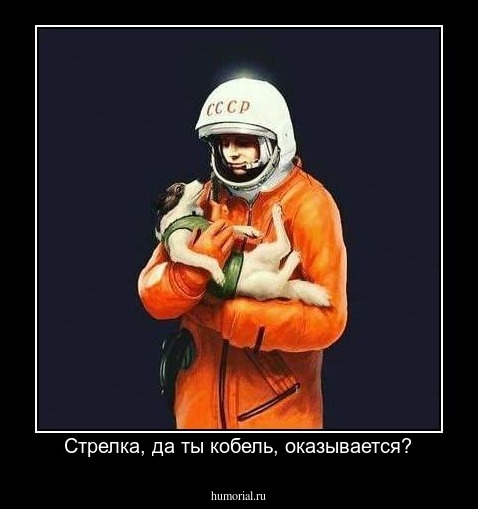 Стрелка, да ты кобель, оказывается?