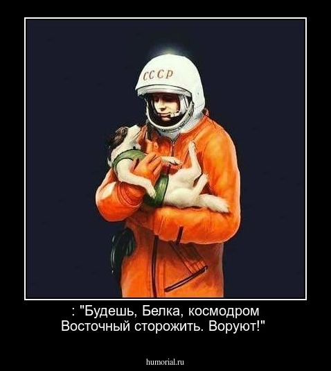 : "Будешь, Белка, космодром Восточный сторожить. Воруют!"